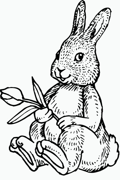 easter coloring pages  the runaway lawyer